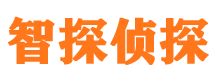 五指山外遇调查取证